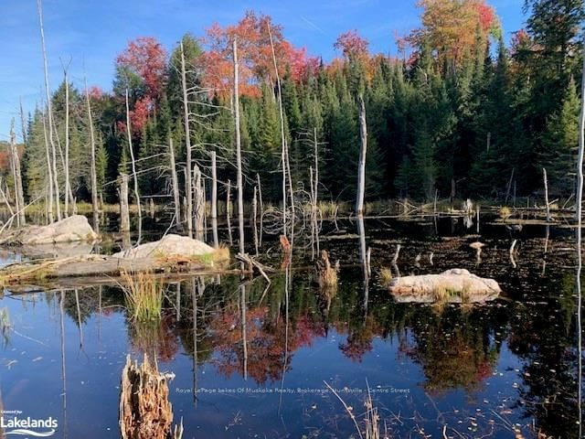  SUGAR BUSH Rd, Magnetawan -  image-0-0