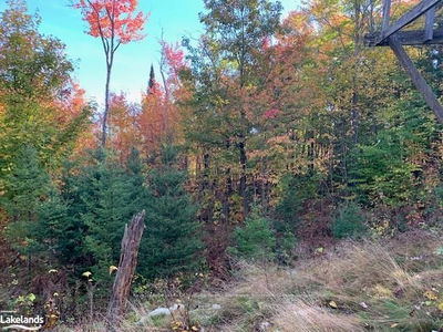  SUGAR BUSH Rd, Magnetawan -  image-0-3