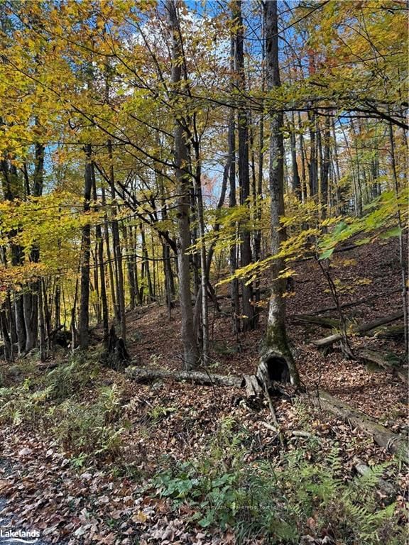 Building at 353C BALSAM CREEK Road, Parry Sound Remote Area, Port Loring