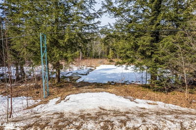 PART LO 4, Muskoka Lakes - Watt image-0-3