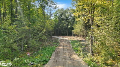 LOT 12 N/A, Algonquin Highlands -  image-0-1