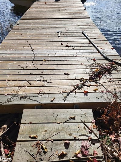 1140 GOOSENECK, Whitestone - Whitestone image-0-2