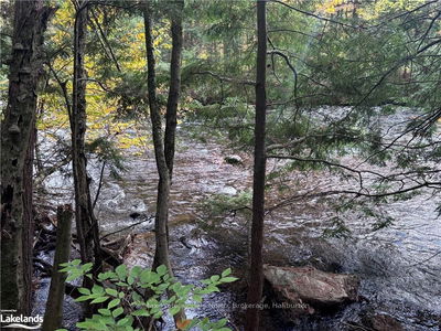 LOT 13 N/A, Algonquin Highlands -  image-0-3