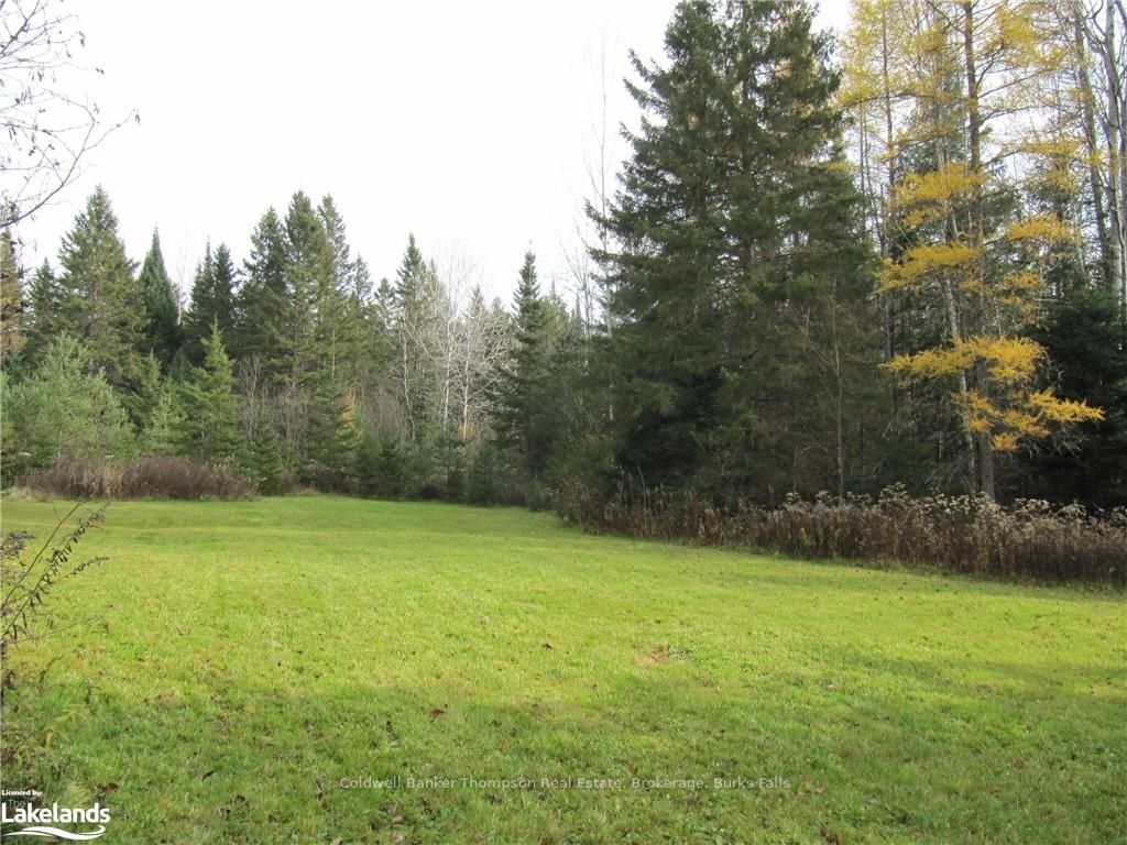 Vacant Land sold at 0 HIGHWAY 520, Ryerson, P0A 1C0 - MLS: X10436723