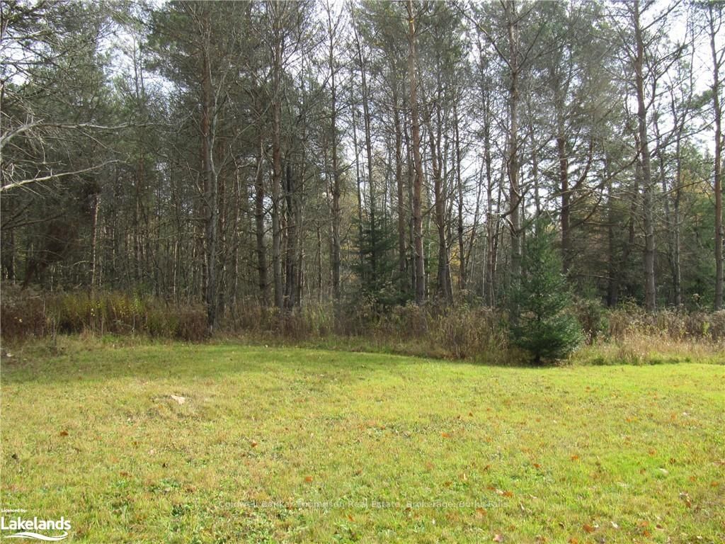 Vacant Land sold at 0 HIGHWAY 520, Ryerson, P0A 1C0 - MLS: X10436723