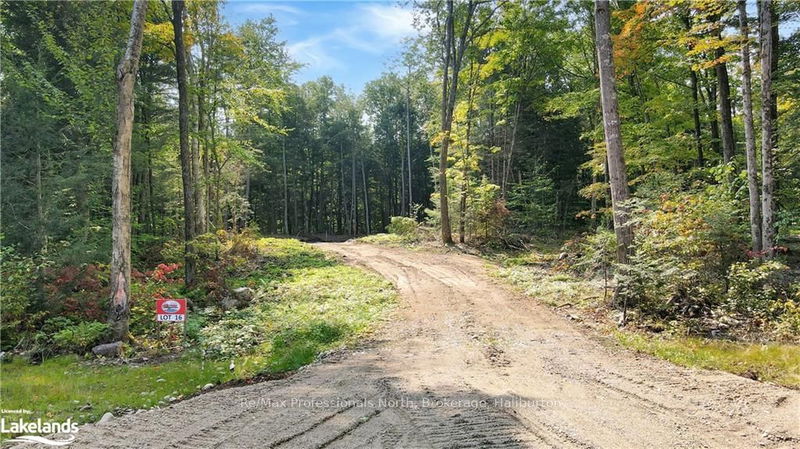 LOT 16 N/A, Algonquin Highlands -  image-0-0