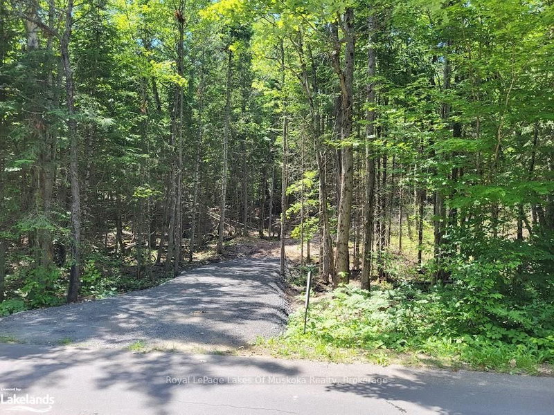 LOT 5 FAIRY FALLS Road