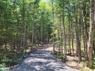 LOT 5 FAIRY FALLS Road • Lake of Bays, ON photo 3