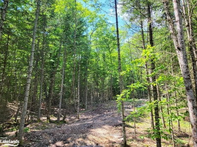 LOT 5 FAIRY FALLS Road • Lake of Bays, ON photo 4