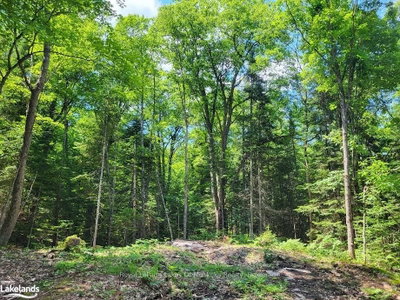 LOT 5 FAIRY FALLS Road • Lake of Bays, ON photo 8