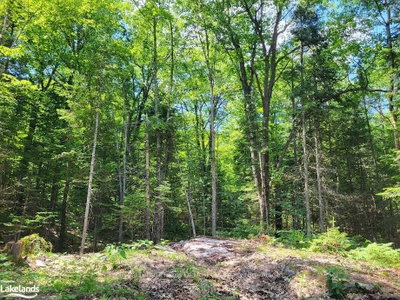 LOT 5 FAIRY FALLS Road • Lake of Bays, ON photo 9