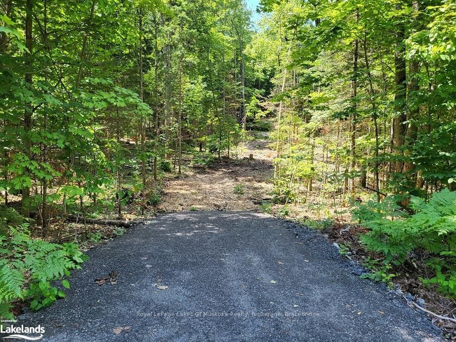 Building at LOT 4 FAIRY FALLS Road, Lake of Bays, Mclean