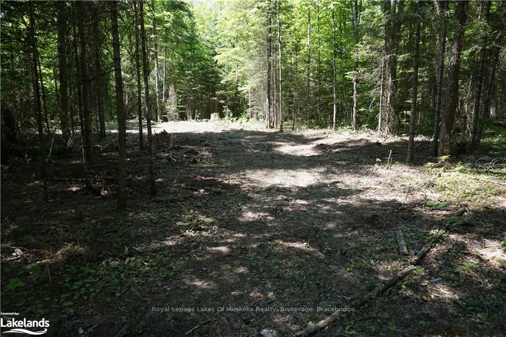 Vacant Land sold at LOT 3 FAIRY FALLS Road, Lake of Bays, Mclean, P0B 1A0 - MLS: X10437266