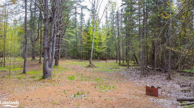 PT11-12 HALIBURTON LAKE Rd, Dysart et al -  image-0-4