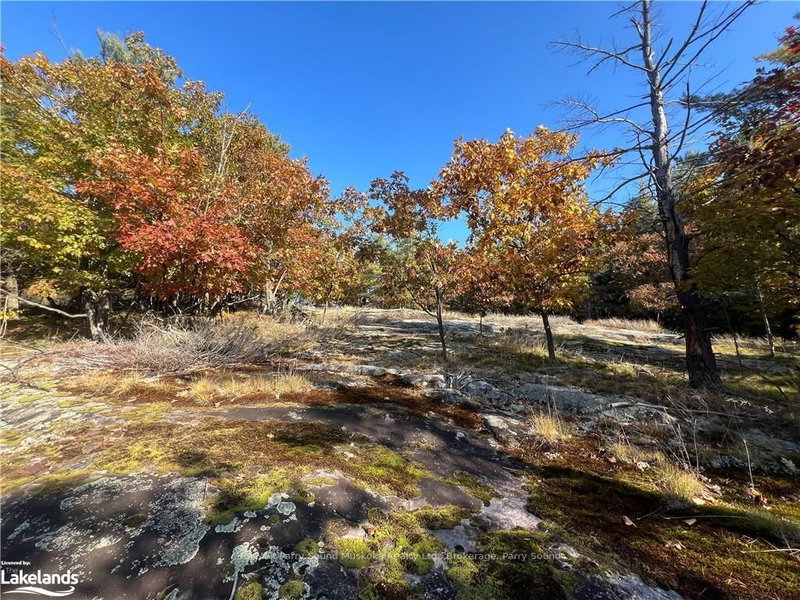 13 RIDGEWAY Dr, Carling, P0G 1G0 | Image 3