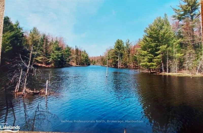 0 BOBCAYGEON Rd, Minden Hills, K0M 2K0 | Image 3