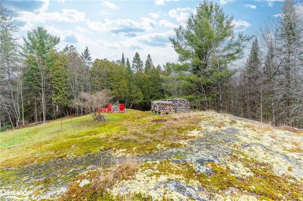 Listing Image 31