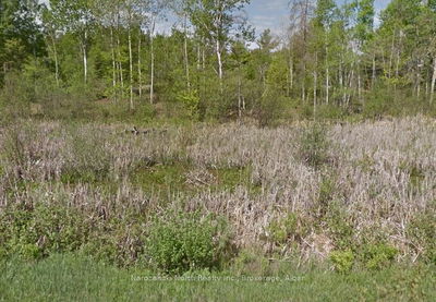 LOT 25 DELAMERE Rd, French River -  image-0-3
