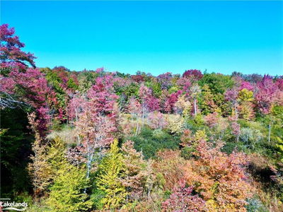  ACTON ISLAND Rd, Muskoka Lakes - Medora image-0-3