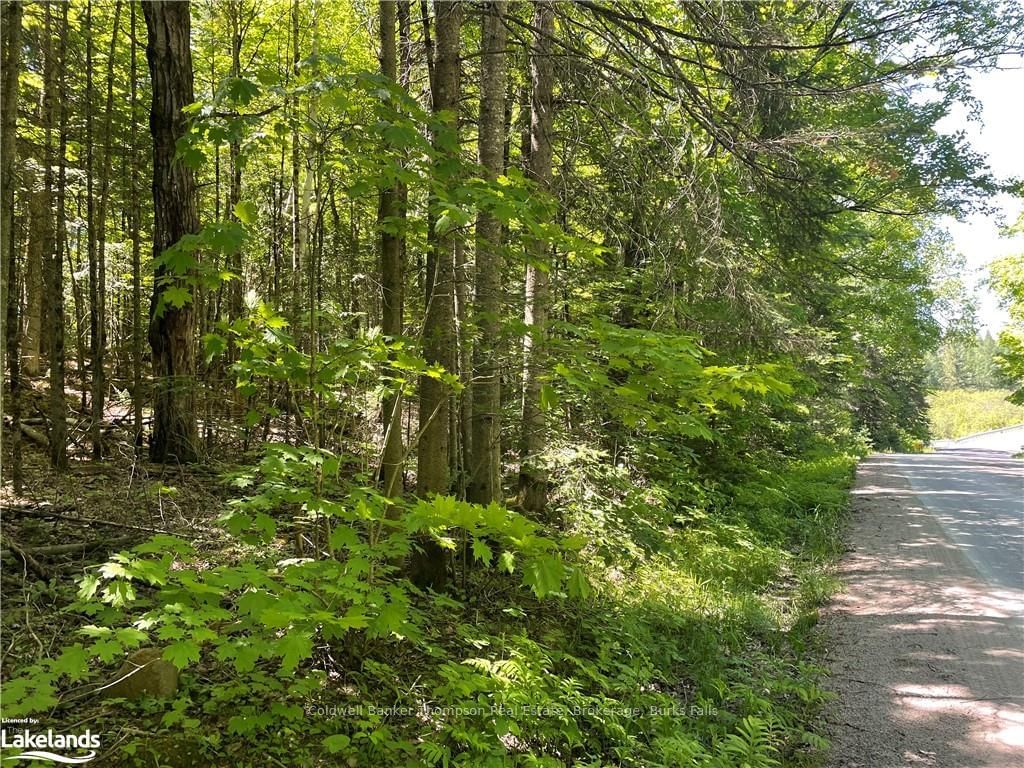 Vacant Land sold at 00 MIDLOTHIAN Road, Ryerson, Ryerson, P0A 1C0 - MLS: X10438557