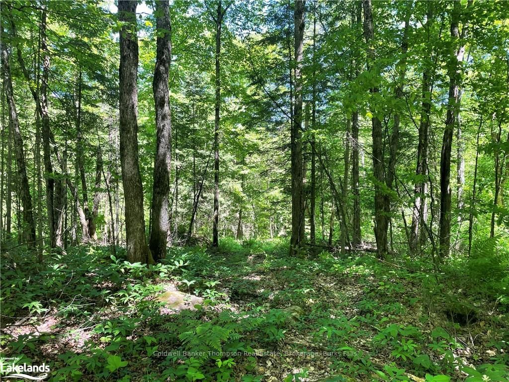 Vacant Land sold at 00 MIDLOTHIAN Road, Ryerson, Ryerson, P0A 1C0 - MLS: X10438557