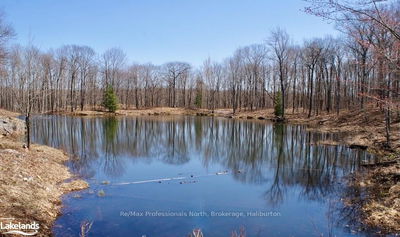  HIGHWAY 35, Minden Hills -  image-0-2