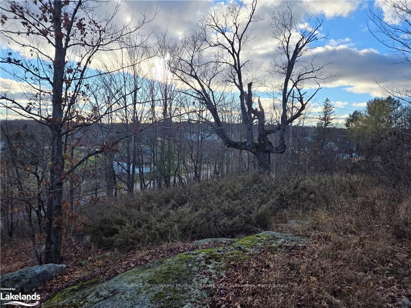 19 TURTLE Lane, McKellar, P0G 1C0 | Image 3