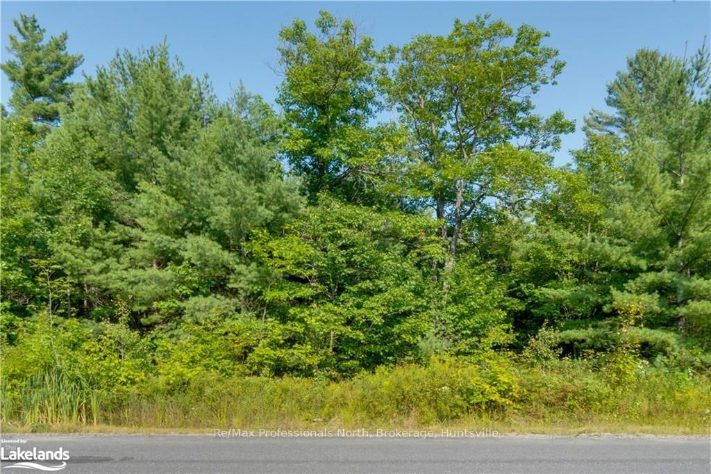 Vacant Land sold at 0 BONNIE LAKE Road, Bracebridge, Macaulay, P1L 1W9 - MLS: X10438856