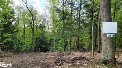 LOT 3 LOUISA St, Parry Sound -  image-0-2