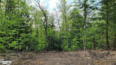 LOT 3 LOUISA St, Parry Sound -  image-0-4