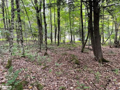 0 AXE LAKE Road — photo 4