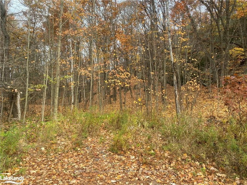 0 FERRIER Rd, Bracebridge, P1L 1A0 | Image 2