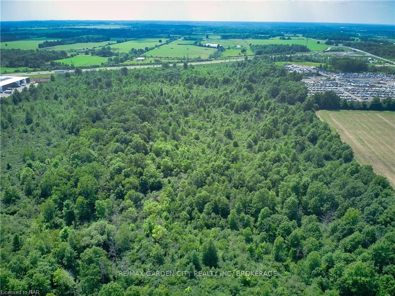 PT LT 7 CON 5 PETTIT PT1 Rd, Fort Erie, L2A 5M4 | Image 2