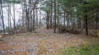 12894 HIGHWAY 60 Rte, Golden Lake - North Algona/Wilberforce Twp image-0-4