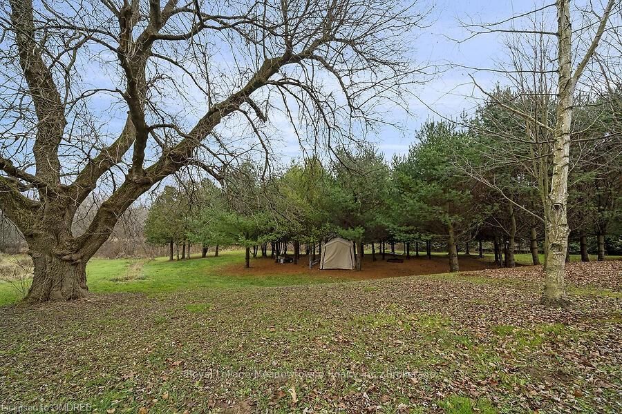 Listing Image 23