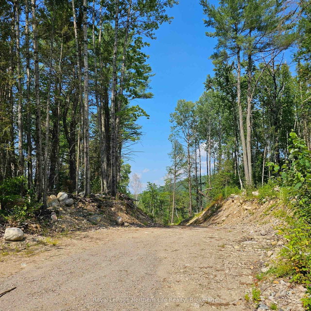 1251 SNAKE CREEK Road