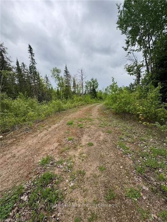 Vacant Land sold at 4155 HIGHWAY 17, Papineau-Cameron, Papineau Cameron, P0H 1V0 - MLS: X10708286