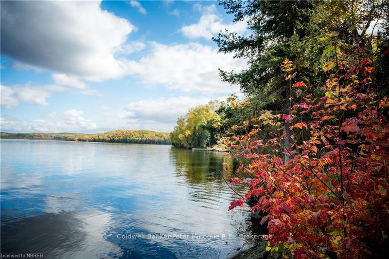 1757 SOUTH SHORE Rd, East Ferris, P0H 1B0 | Image 2