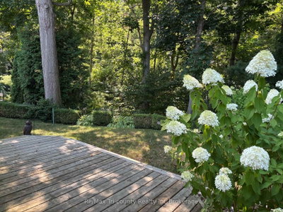 18 WILKINS Crescent — photo 6
