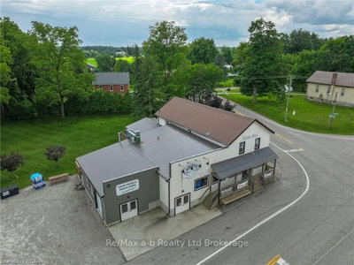 Sale Of Business sold at 226 MIDDLE TOWNLINE Road, Brant, Ontario, N0E 1E0 - Burford - MLS: X10746009