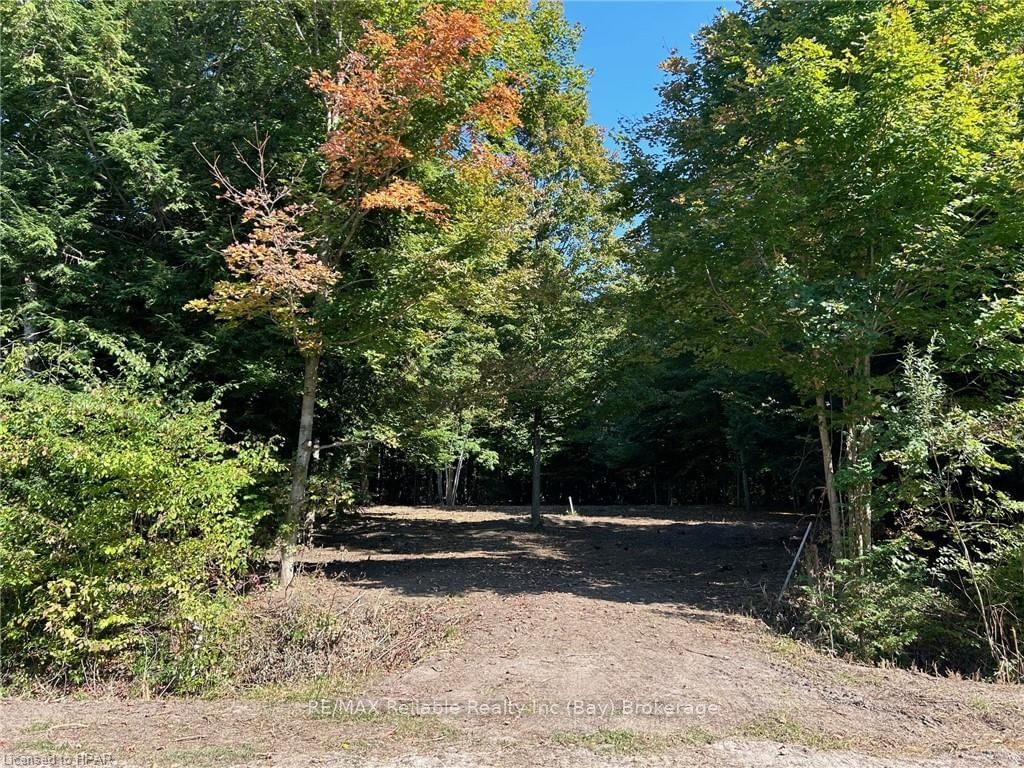 Vacant Land for sale at 77347 FOREST RIDGE Road, Bluewater, Bayfield, N0M 1G0 - MLS: X10780847