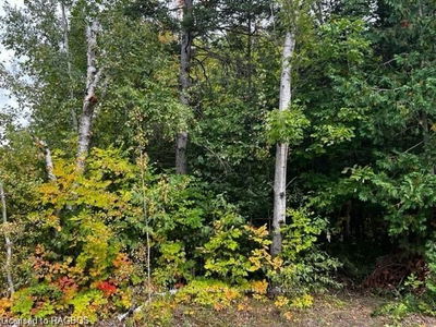 7 SHORE Rd, Saugeen Shores - 