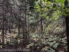 7 SHORE Rd, Saugeen Shores - Saugeen Shores image-0-3