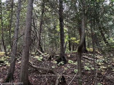 5 SHORE Rd, Saugeen Shores - Saugeen Shores image-0-1
