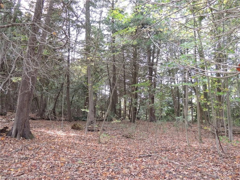 PTLT 48 NORTH Line, West Grey, N0C 1K0 | Image 3