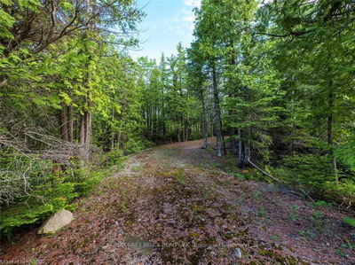 LT31-32 BIG TUB Rd, Northern Bruce Peninsula - Northern Bruce Peninsula image-0-3