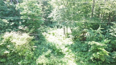 40 MAPLE CREEK Drive — photo 3