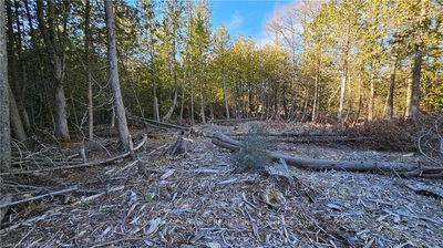 3 DONALD Rd, Northern Bruce Peninsula -  image-0-1