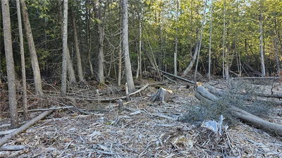 3 DONALD Rd, Northern Bruce Peninsula -  image-0-3