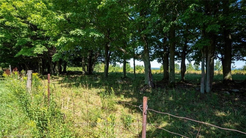 LT 38 GRAHAMS HILL Rd, Georgian Bluffs, N0H 2T0 | Image 3